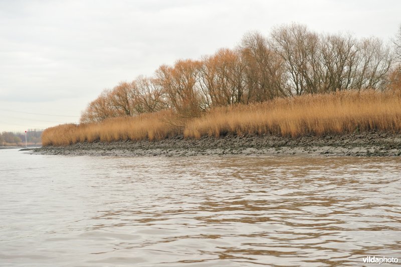 Steenstort langs de oevers van de Schelde