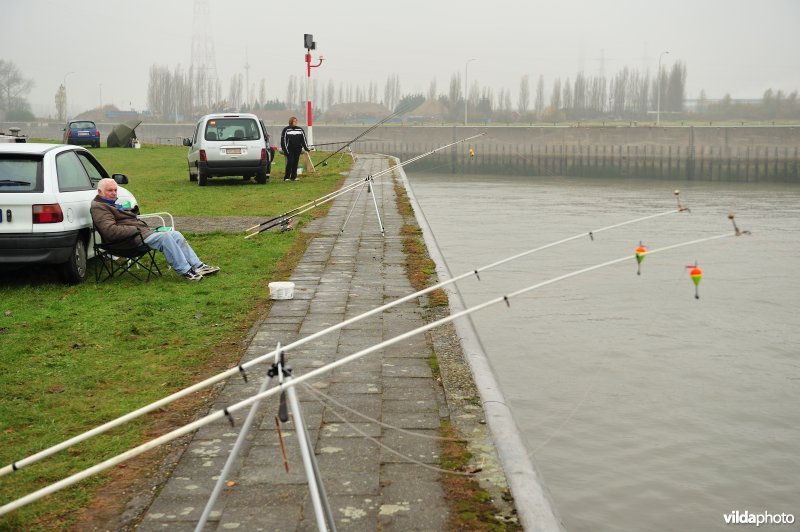 Vissers in de haven van Antwerpen