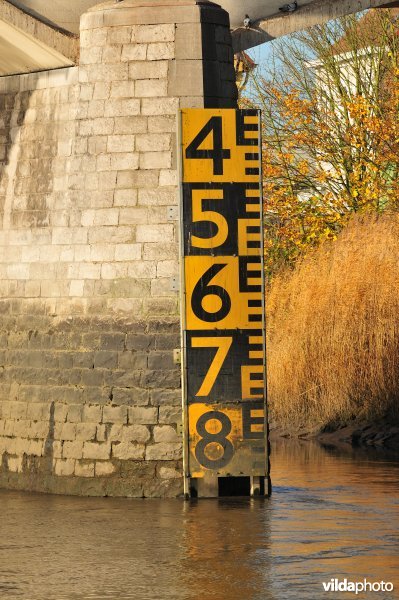 Waterpeilmeter langs de Schelde