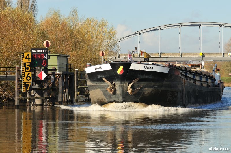 Vrachtboot op de Schelde