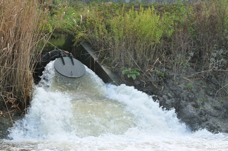 Overstort op de Schelde