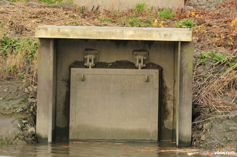 Overstort op de Schelde