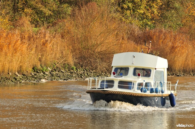 Plezierbootje op de Schelde