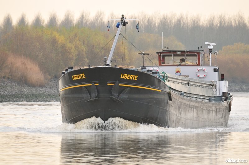 Vrachtboot op de Schelde