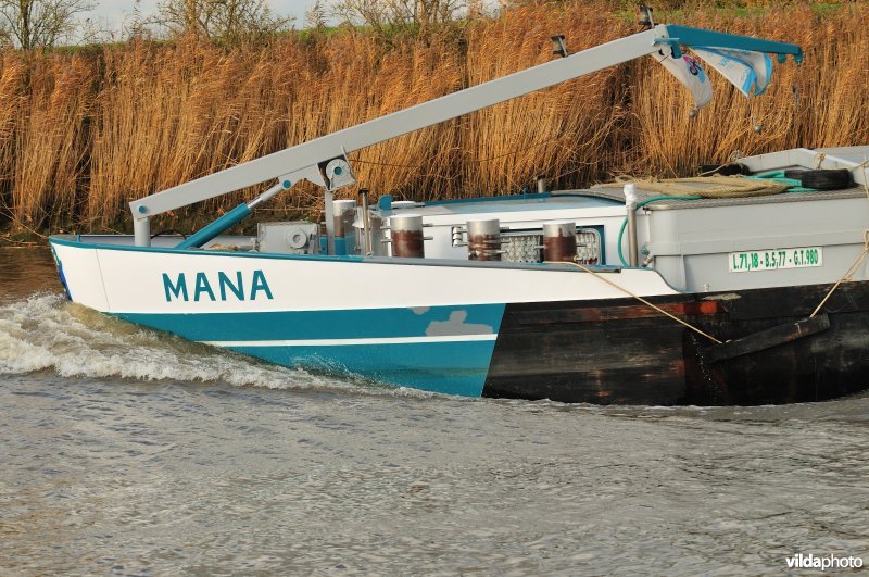 Vrachtboot op de Schelde