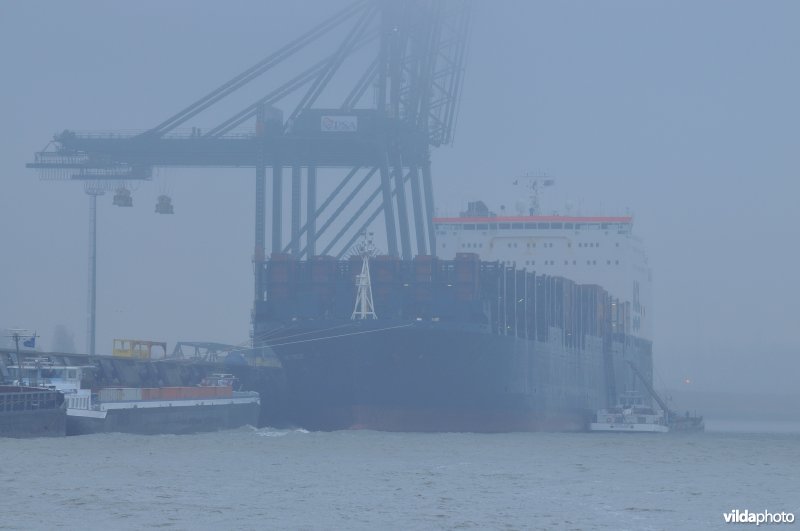 Zeeschelde in de Haven van Antwerpen