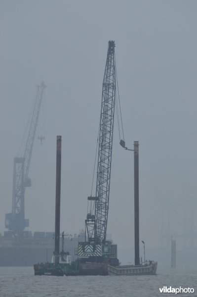 Zeeschelde in de Haven van Antwerpen