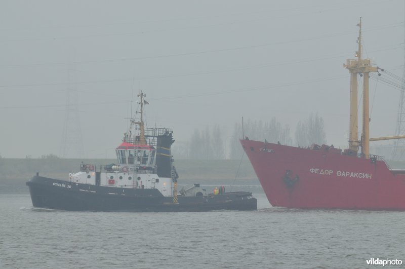 Sleepboot op de Schelde