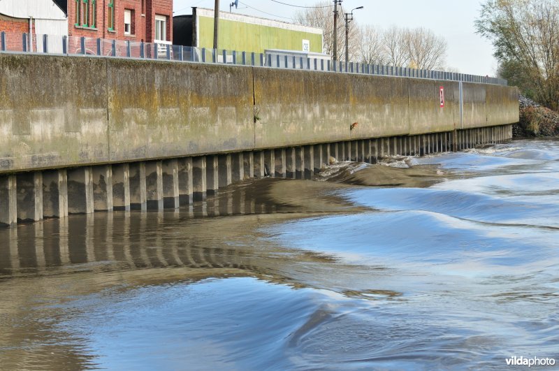 Scheldekaaien in Wetteren