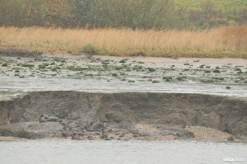 Afkalvend deel van het Ketenisseschoor