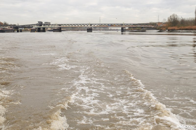 Brug van Temse over de Schelde