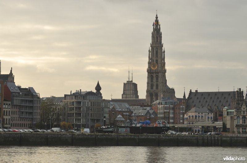 Schelde in Antwerpen