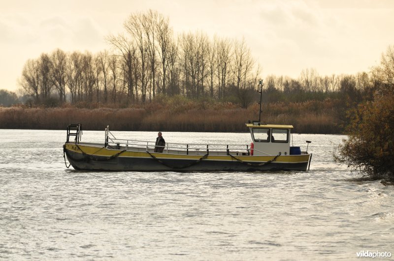 Overzetboot op de Schelde