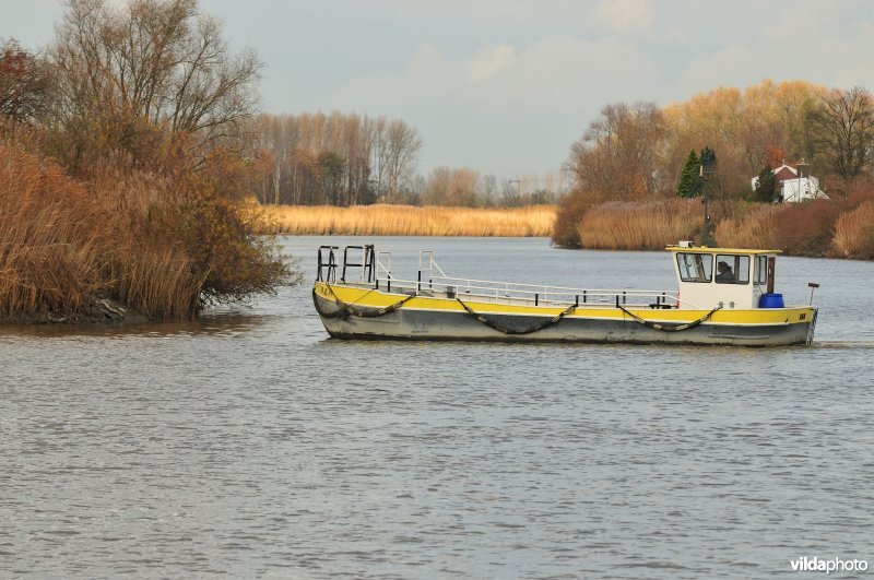 Overzetboot op de Schelde