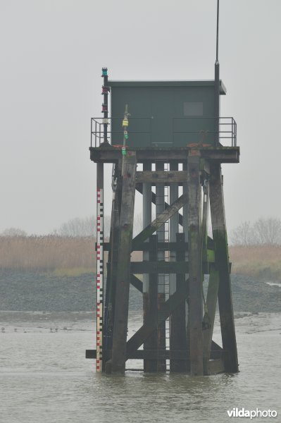 Grenspaal in de Schelde