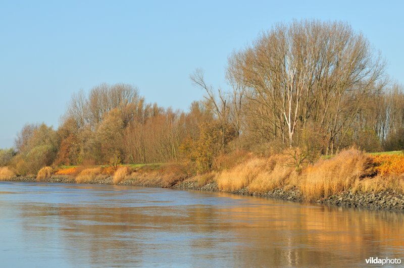 Oever van de Schelde