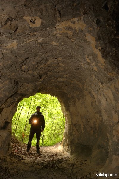 Ingang van een mergelgrot