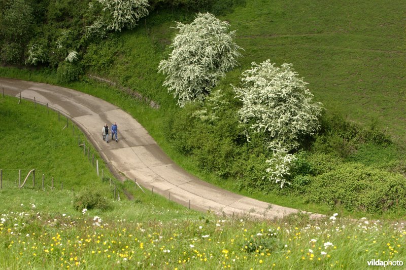 Wandelaars op de Tiendeberg