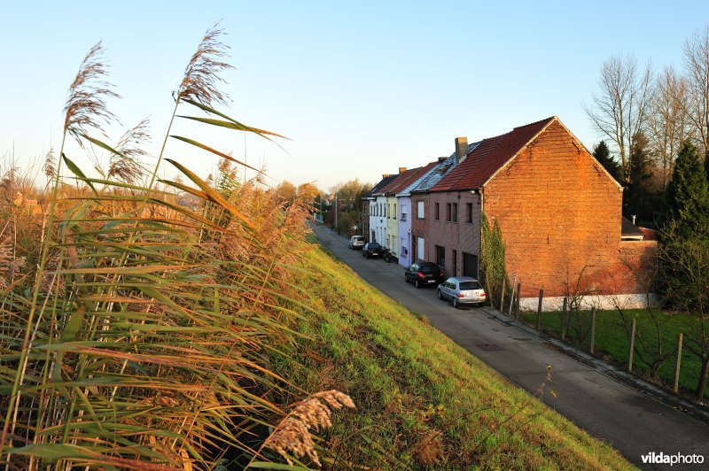 Bebouwing langs de Schelde