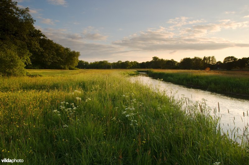 Bloemrijke graslanden aan de Drentse Aa