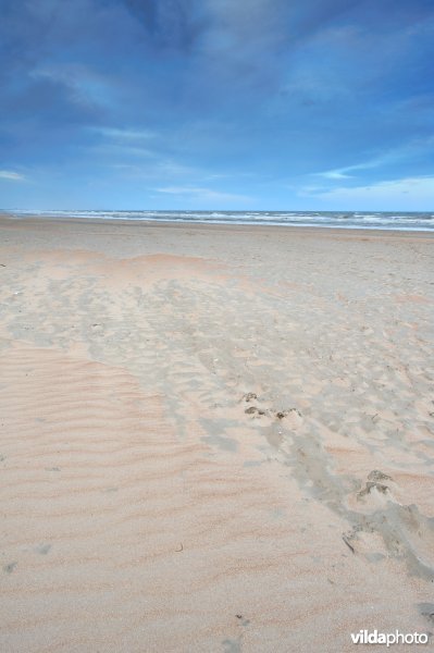 Het strand van Koksijde