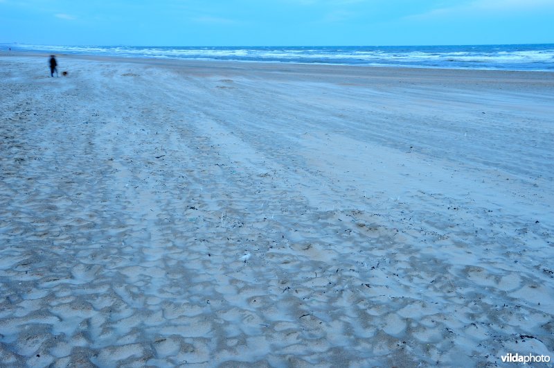 Wandelaar met hond op het strand