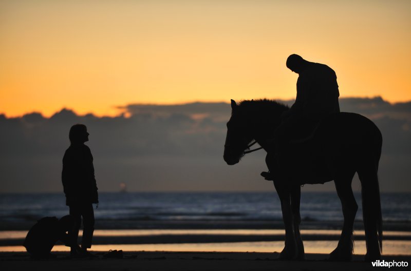 Ruiter op het strand van Koksijde