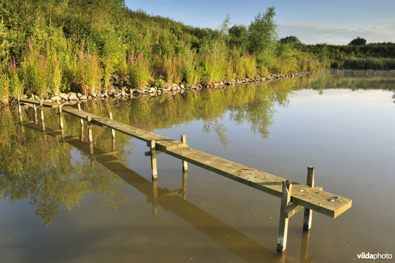 Lippenbroek
