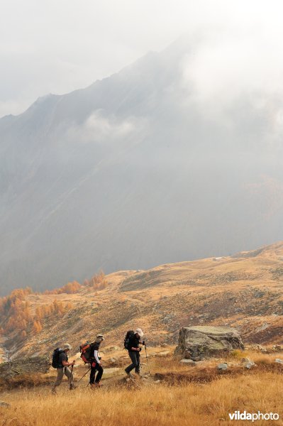 Nationaal park Gran Paradiso