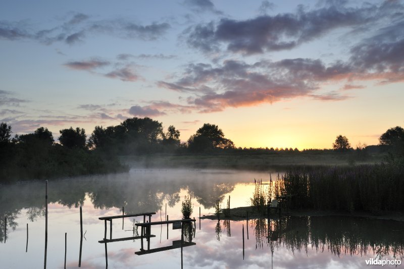 Lippenbroek