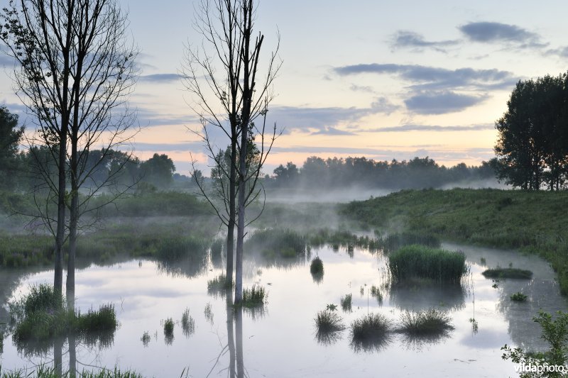 Lippenbroek