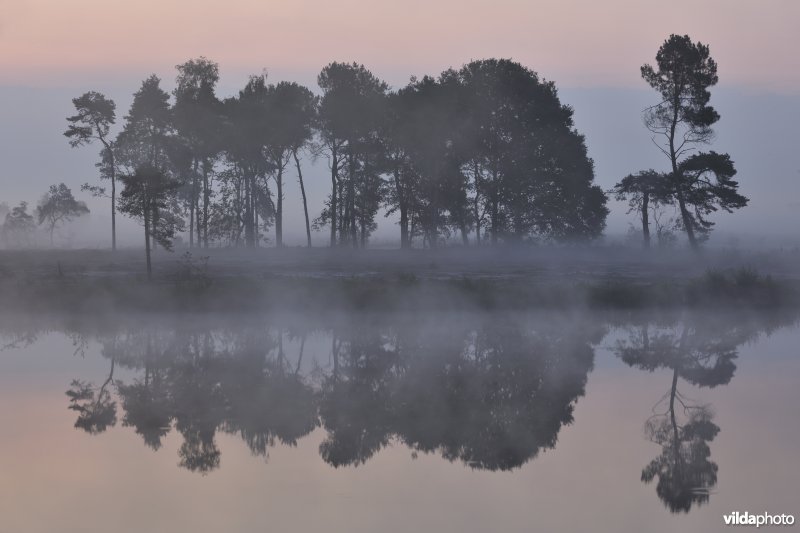 Ven Kleine Klotteraard