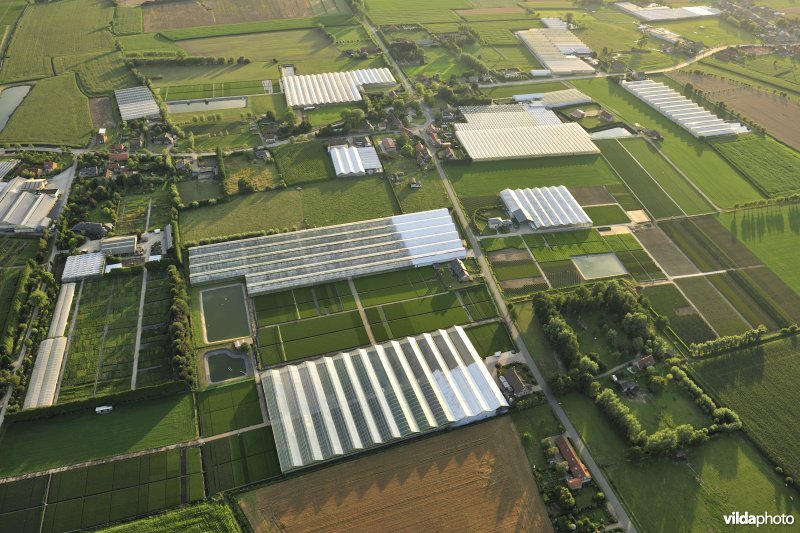 Glastuinbouw
