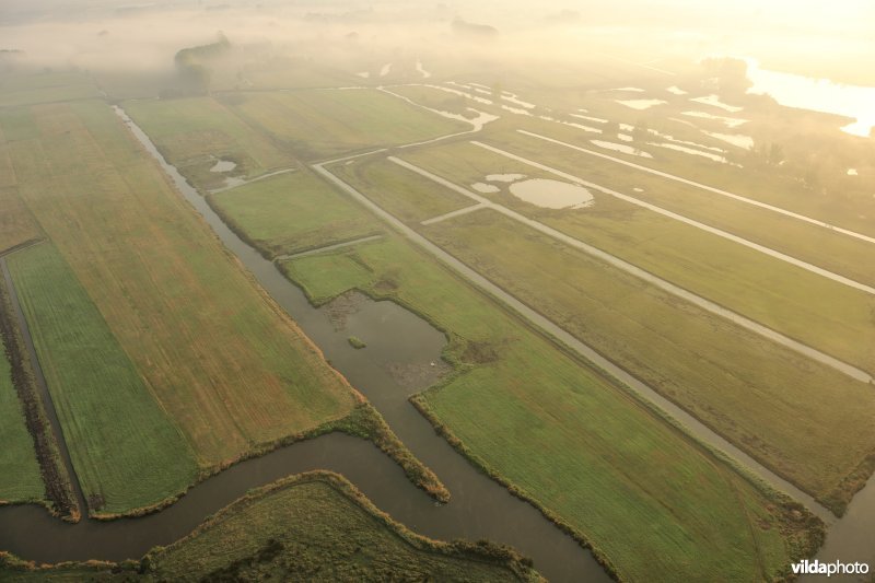 Natuurinrichtingsproject De Blankaart