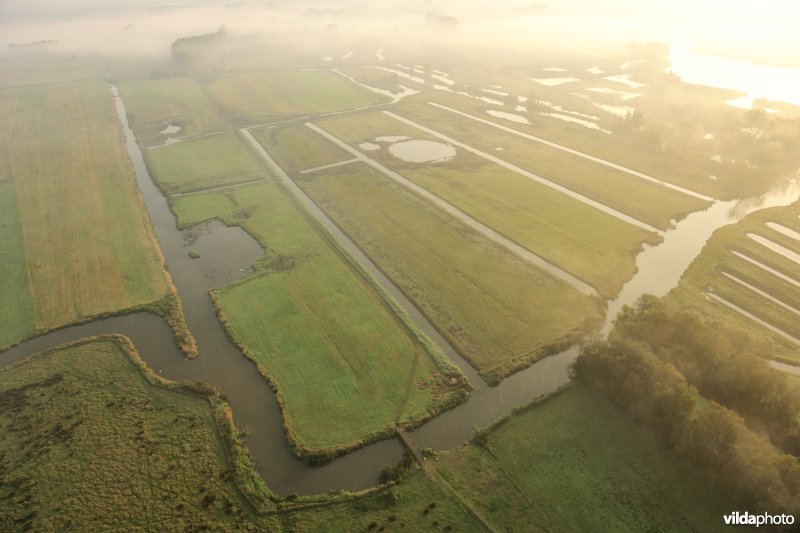 Natuurinrichtingsproject De Blankaart