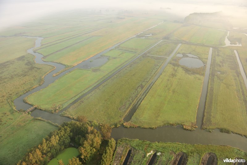 Natuurinrichtingsproject De Blankaart
