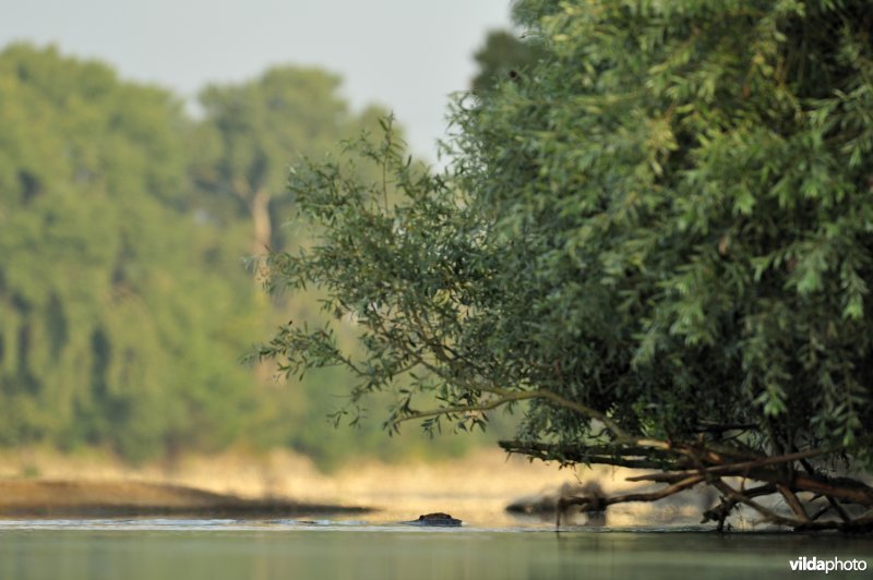 Bever op de Loire