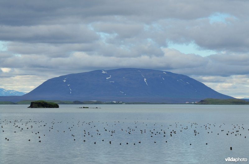 Mývatn meer