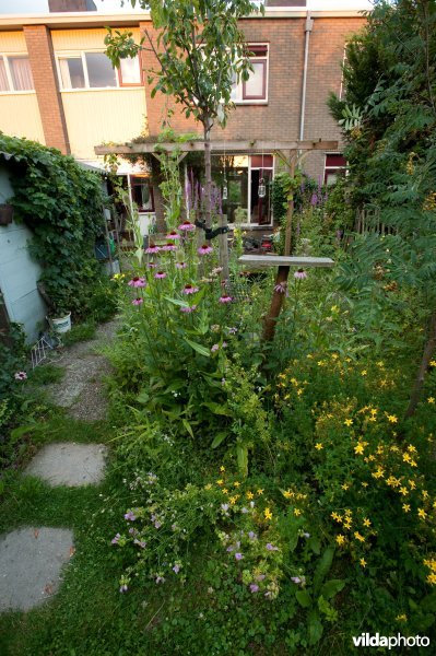 Natuurvriendelijke stadstuin