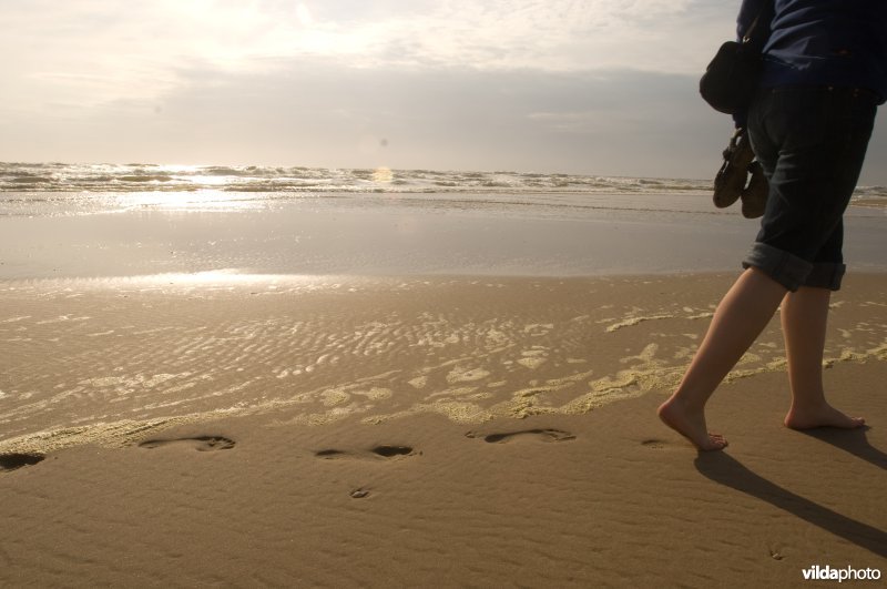 Vrouw wandelt op het strand