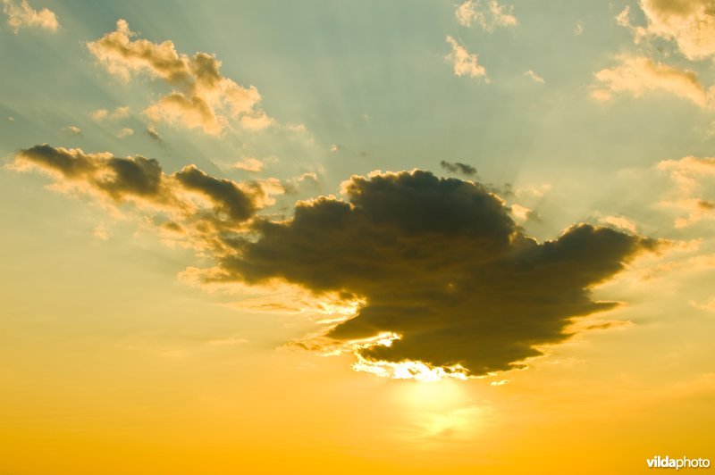 Wolkje aan de lucht