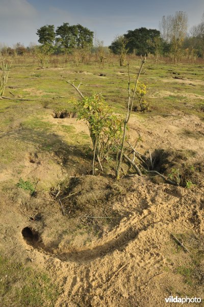 De Weimeersen deel 1 in de Kalkense meersen