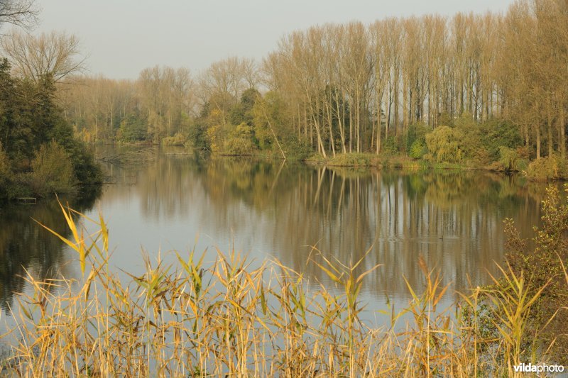 Rupelmondse Kreek