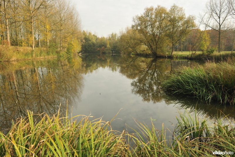Bazelse Kreek