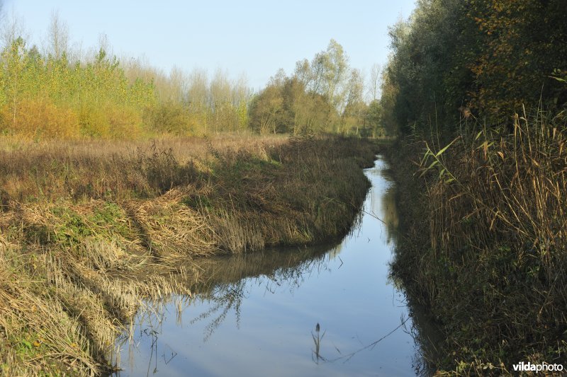 Vlassenbroekse polders