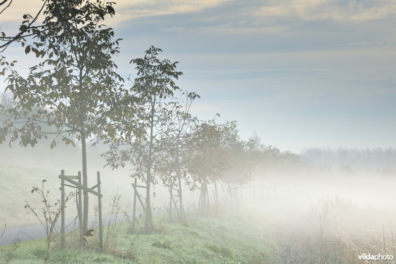 Natuurgebied Weijmeerbroek