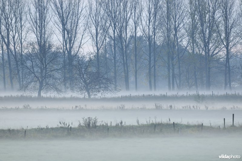 Natuurgebied Weijmeerbroek