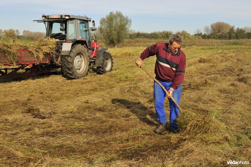 Hagenmeersen in de Durmevallei