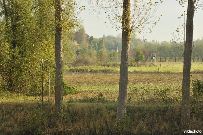 Klein Broek in Temse