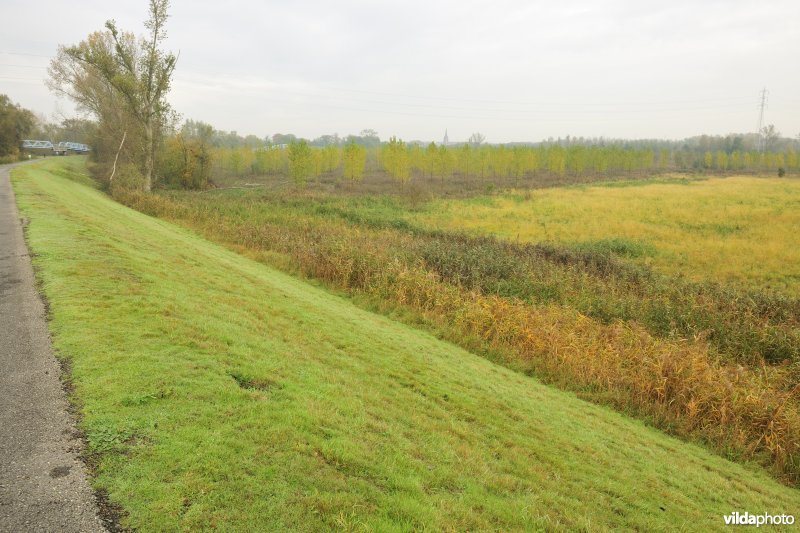 Grote Vijver deel 1 in het Zennegat